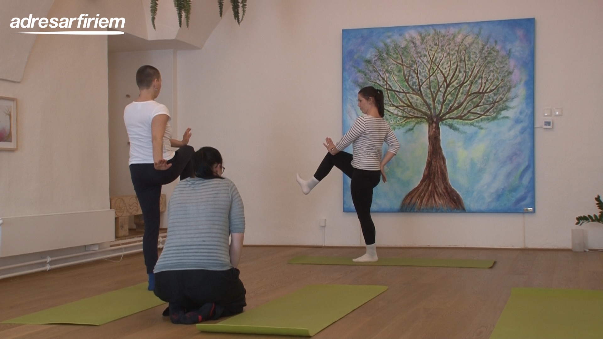 Video TaoShen čínska medicína Banská Bystrica